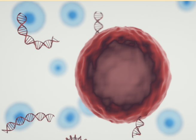 IOmonitoring-ctDNA