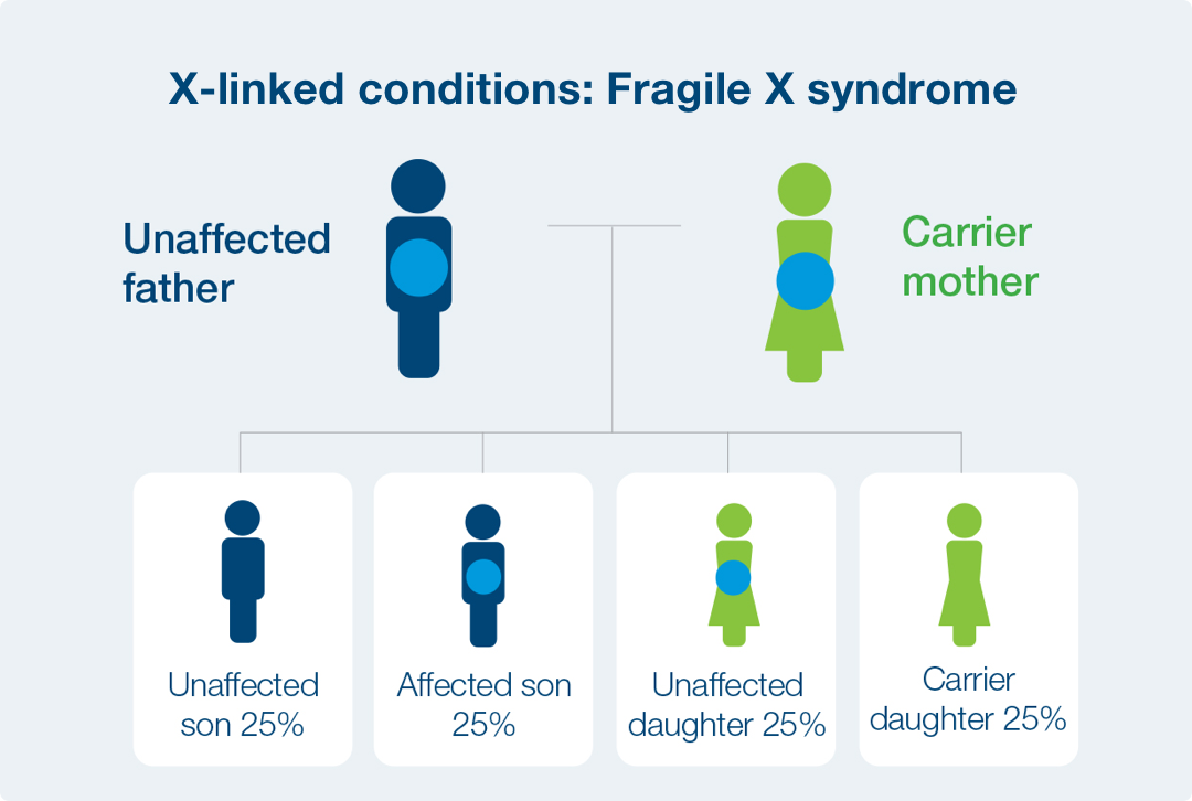 X-linked Conditions