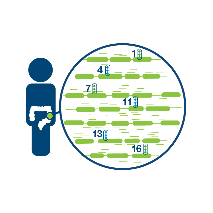 ONC_how it works_MD-01