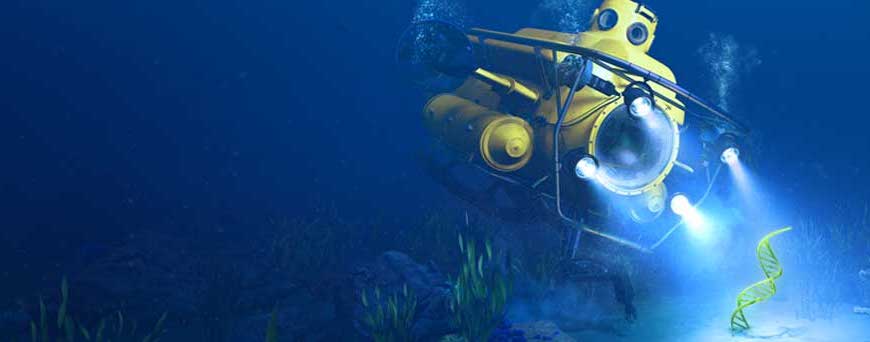 Dive Deeper Submarine DNA