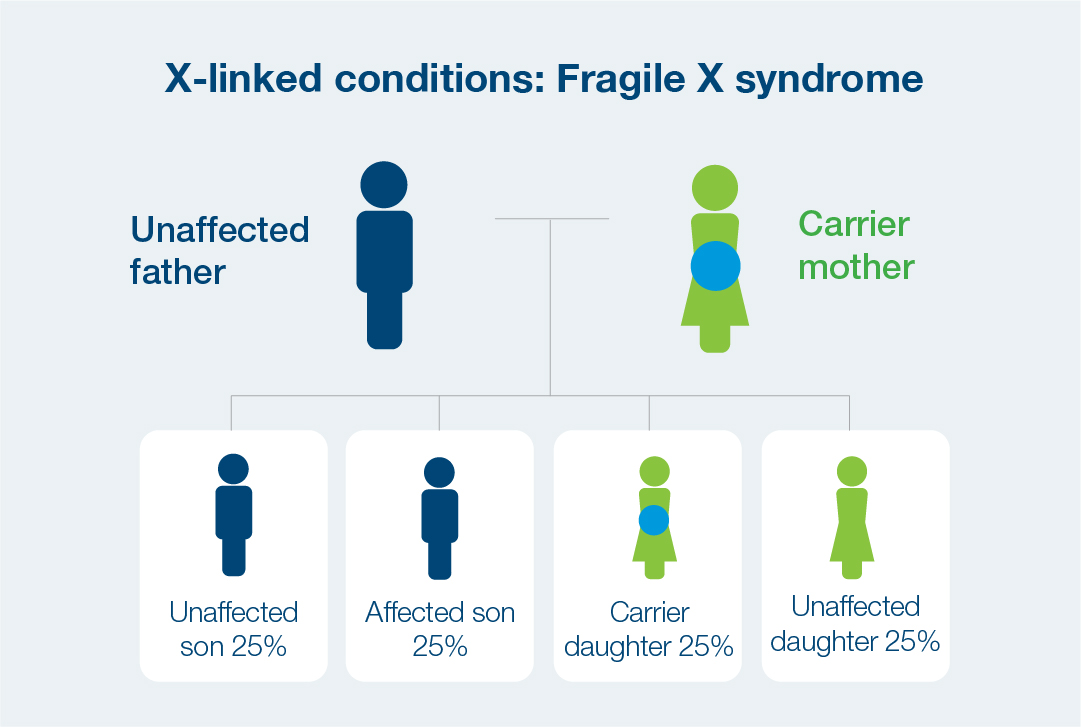 X-linked Conditions