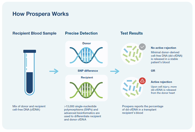 How-Prospera-Works How-Prospera-Works