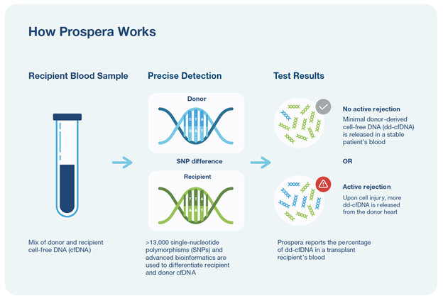 How-Prospera-Works