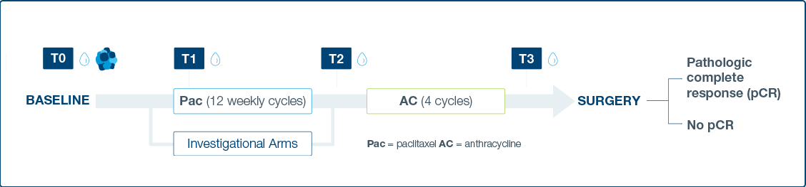 RNA Analysis