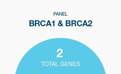 Genes: BRCA1, BRCA2