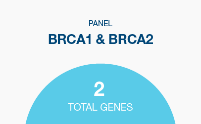 emp-gene-panel-2 Genes: BRCA1, BRCA2
