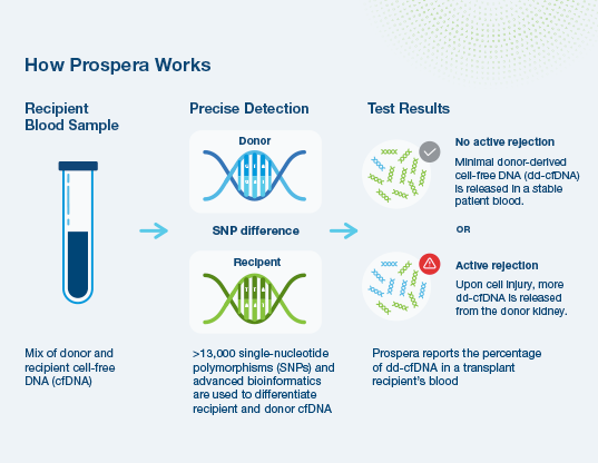 Prospera works