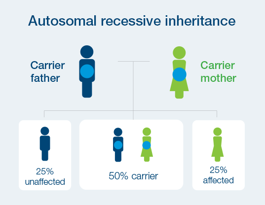 Autosomal Recessive Conditions