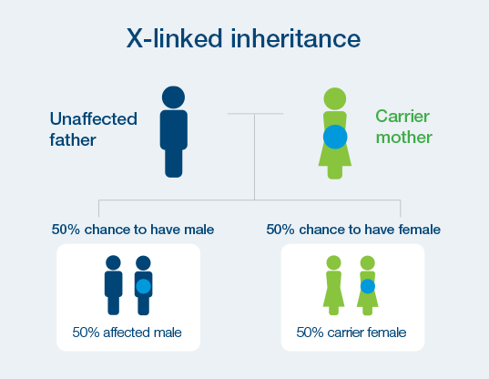 X-linked Conditions