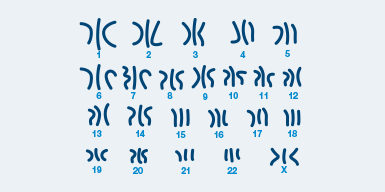 wh-pano-3col_short_triploidy-detection Triploidy detection