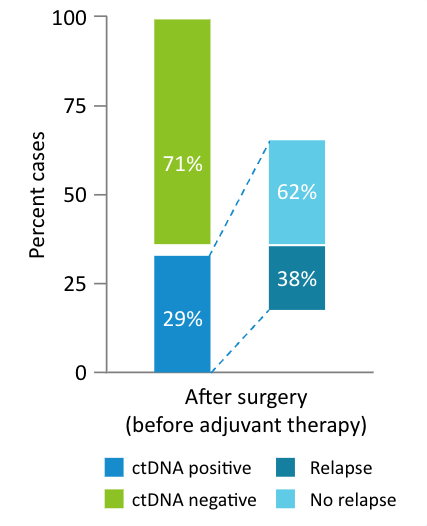 After Surgery (before adjuvant therapy)