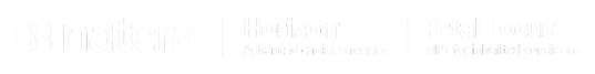 Horizon Logo