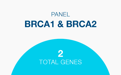 Genes: BRCA1, BRCA2
