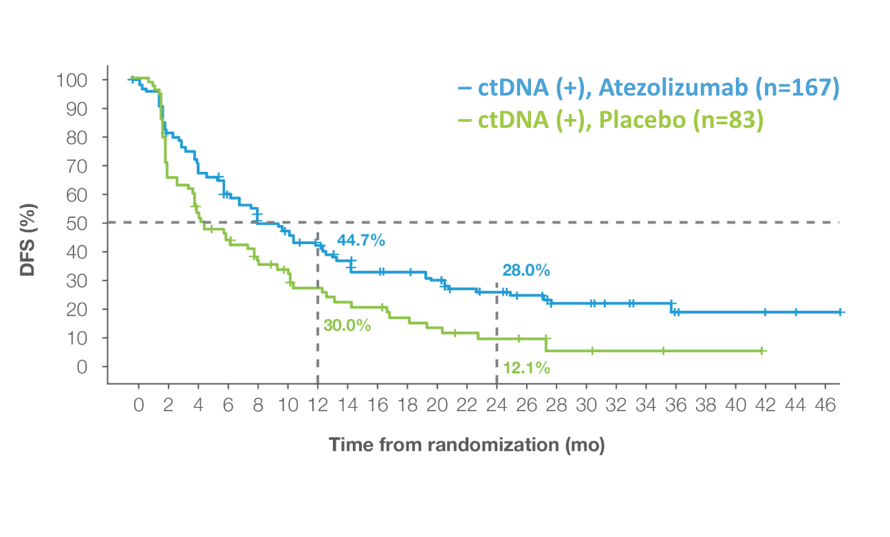 Kaplan-Meier curve for ctDNA-positive patients: atezolizumab (n=167) reaches 44.7% at 12 months and 28.0% at 24 months versus placebo (n=83) at 30.0% and 12.1%.