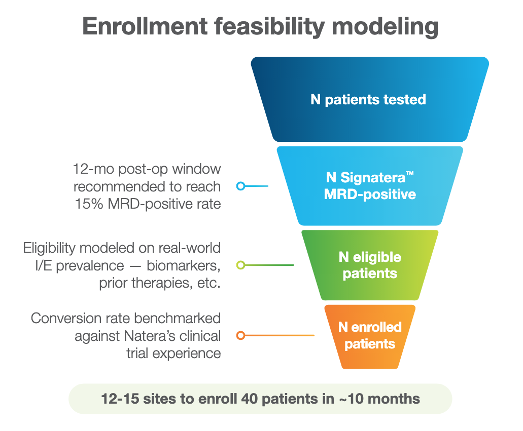 Enrollment feasibility modeling funnel narrowing from N patients tested, to N Signatera MRD-positive, to N eligible patients, to N enrolled patients — 12–15 sites to enroll 40 patients in approximately 10 months.
